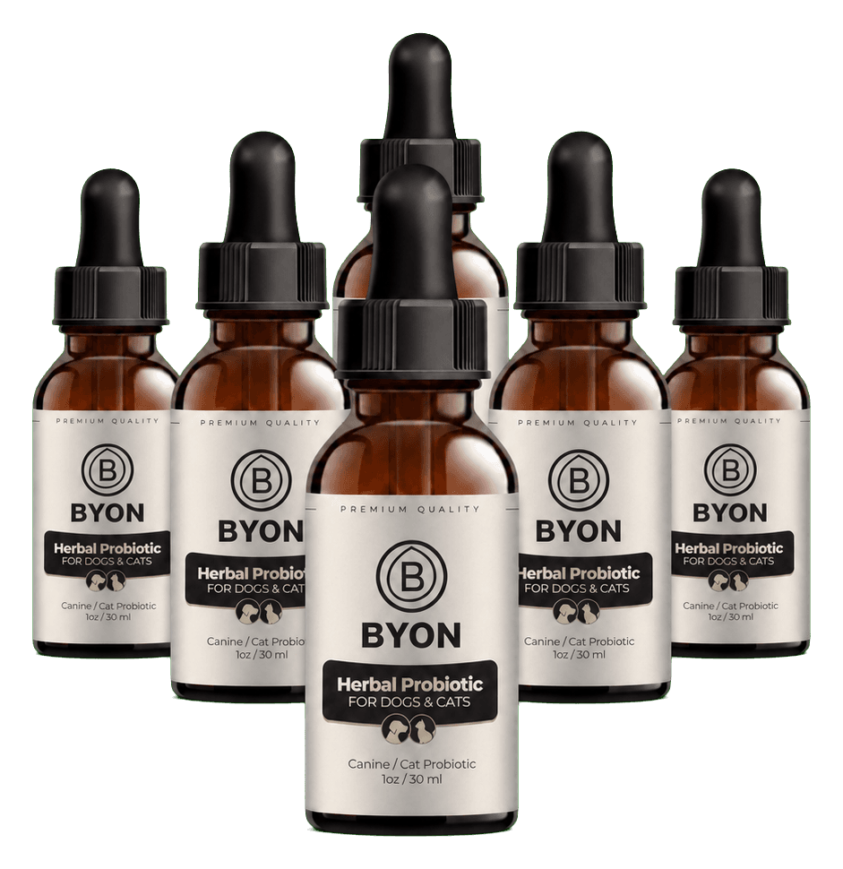 Six bottle BYON Pet routine